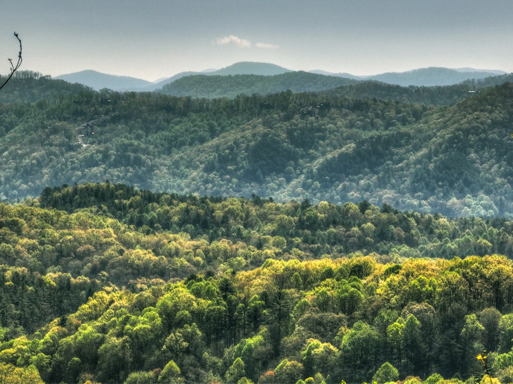 783 North Moreland Drive North Blue Ridge, GA 30513 - Photo 13 of 54 a view of a lush green forest with lush green forest