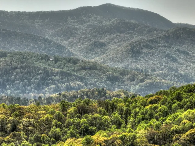 a front view of a house with glass windows