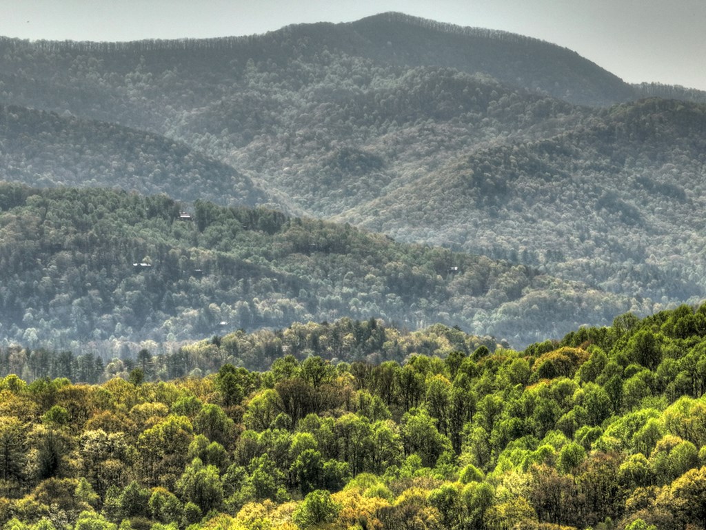 783 North Moreland Drive North Blue Ridge, GA 30513 - Photo 14 of 54 a view of a lush green field
