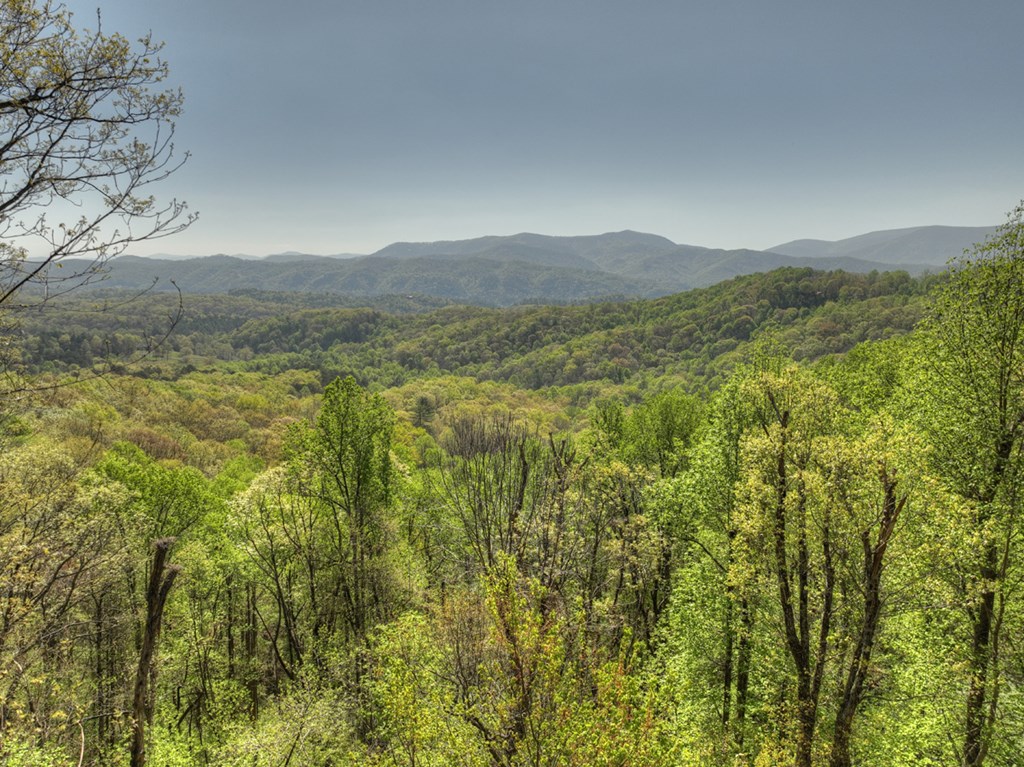 783 North Moreland Drive North Blue Ridge, GA 30513 - Photo 15 of 54 a view of a lush green forest with trees in the background