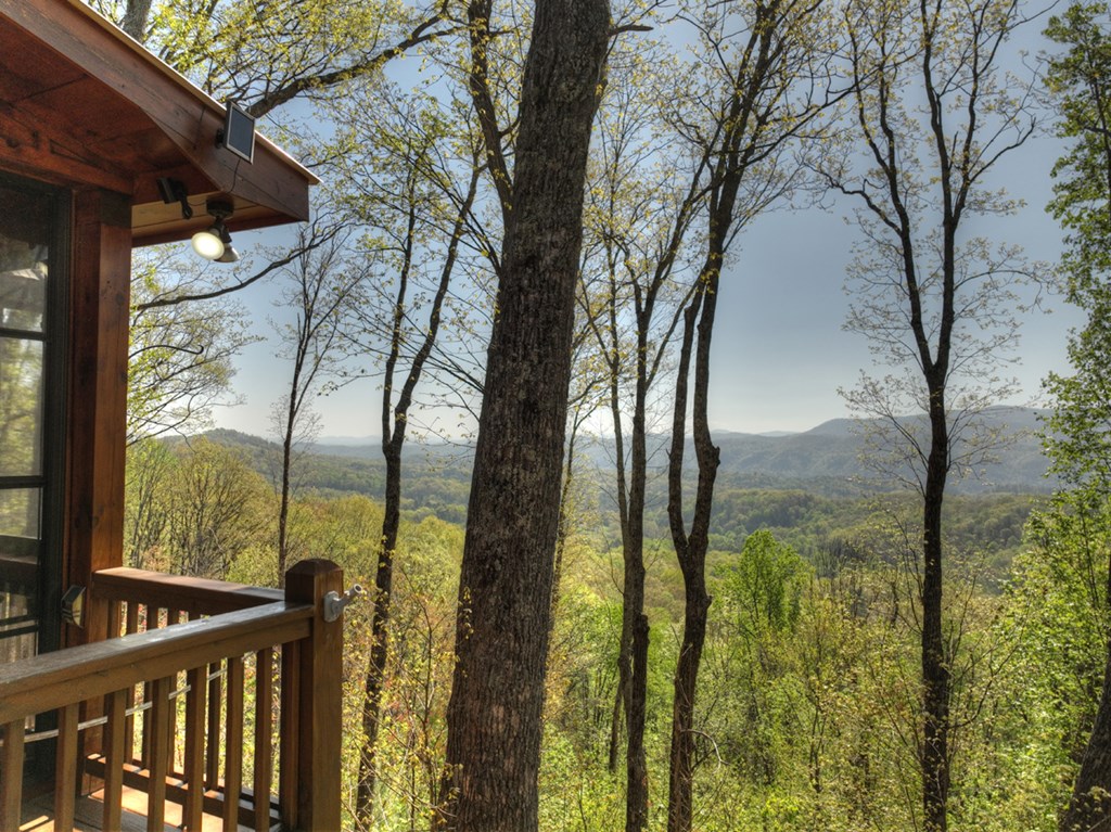 783 North Moreland Drive North Blue Ridge, GA 30513 - Photo 10 of 54 a view of outdoor from window
