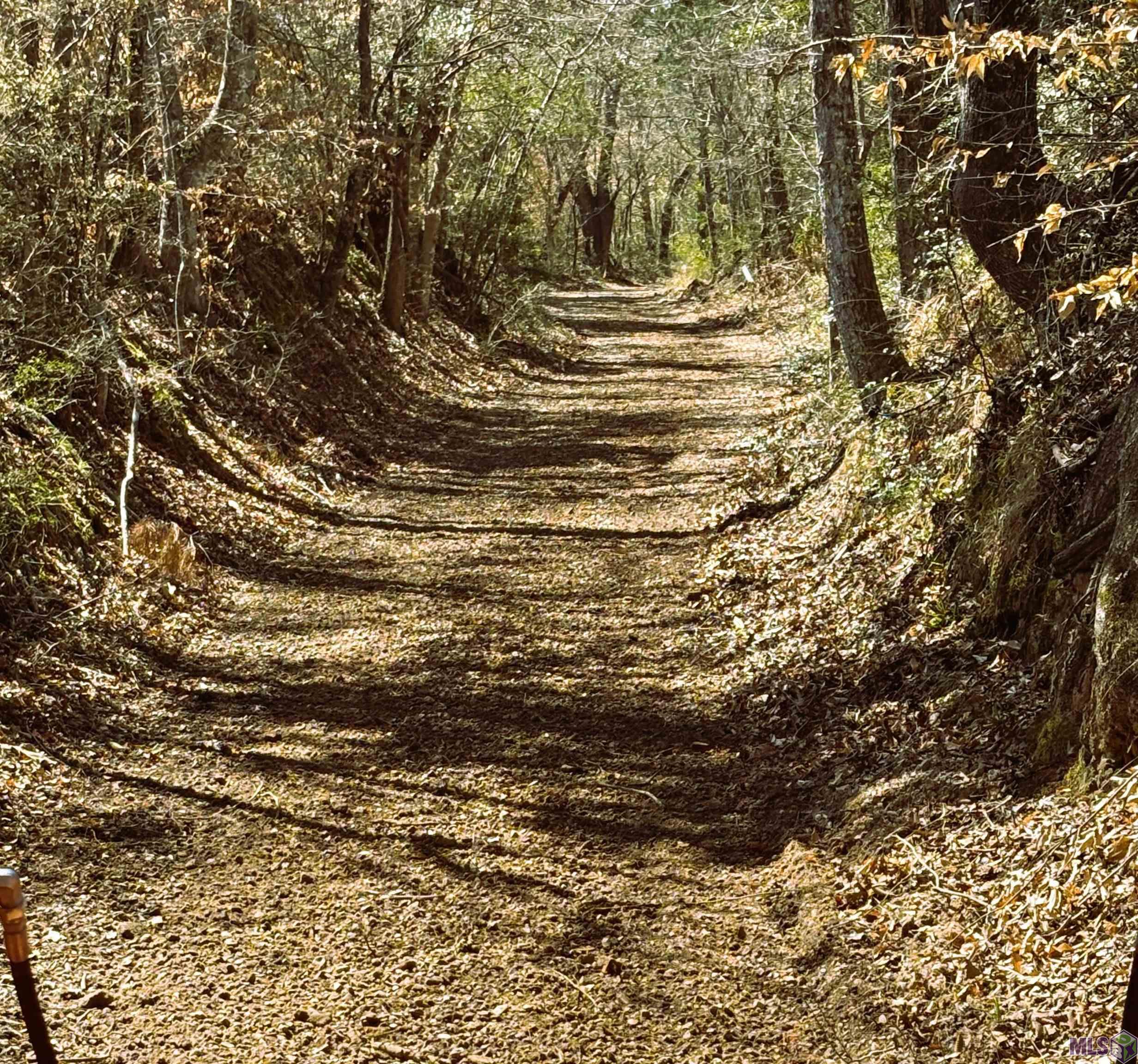 13289 Weaver Road St. Francisville, LA 70775 - Photo 11 of 13