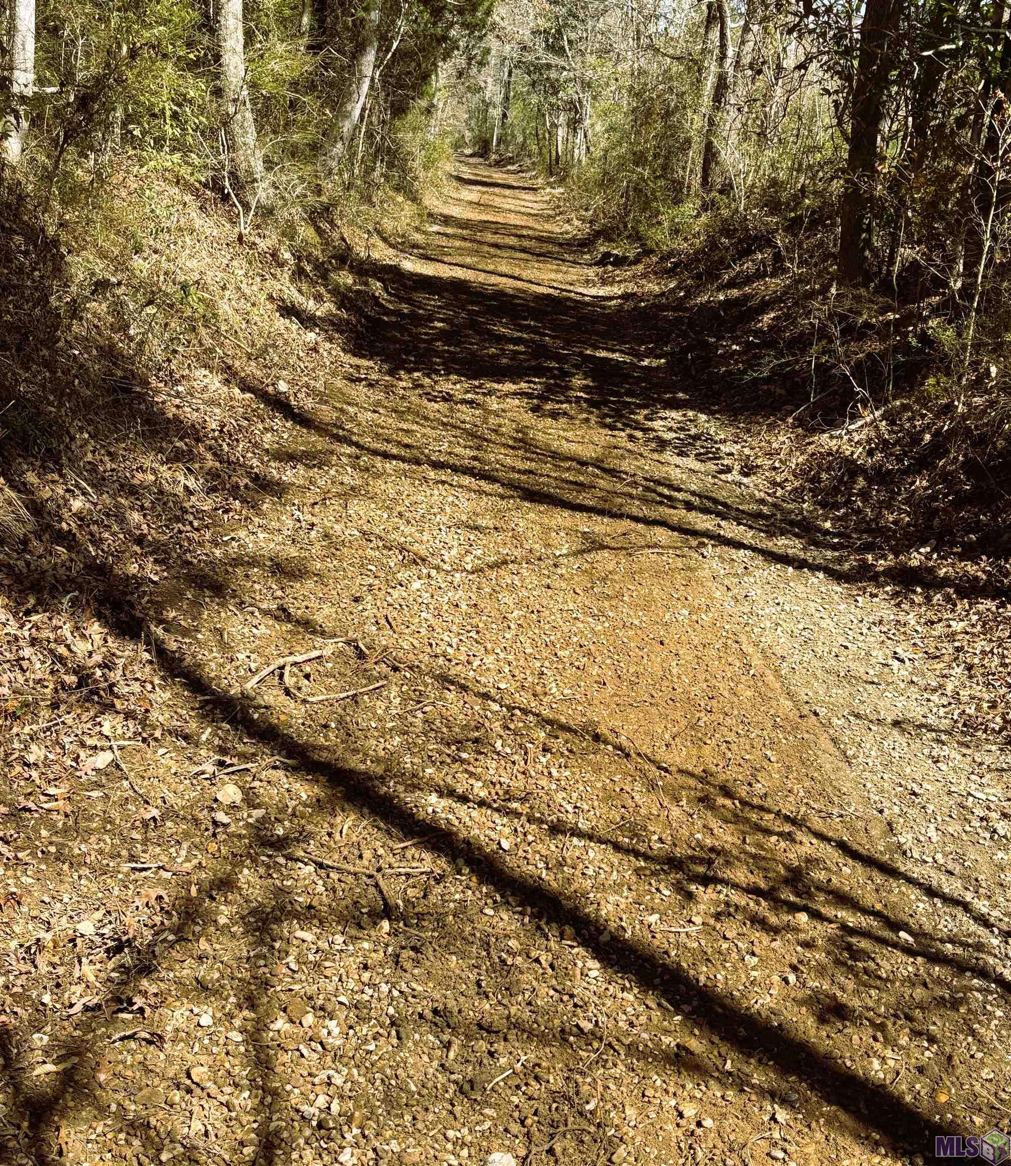 13289 Weaver Road St. Francisville, LA 70775 - Photo 12 of 13