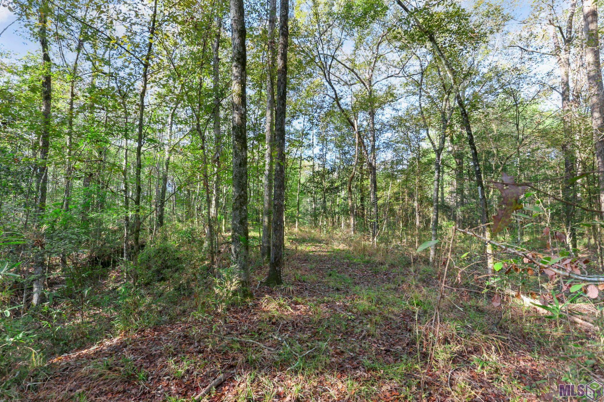 13289 Weaver Road St. Francisville, LA 70775 - Photo 5 of 13