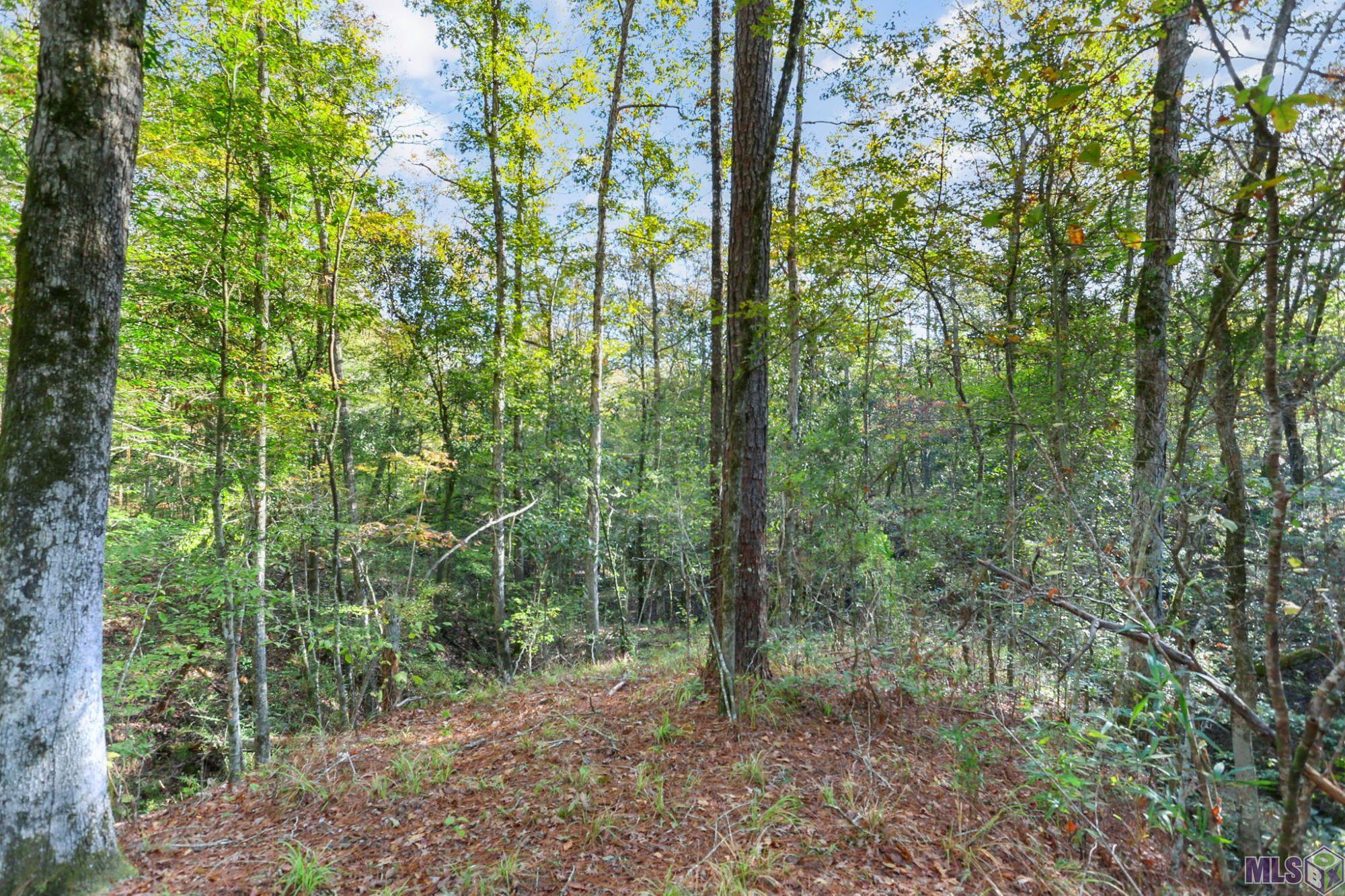 13289 Weaver Road St. Francisville, LA 70775 - Photo 6 of 13