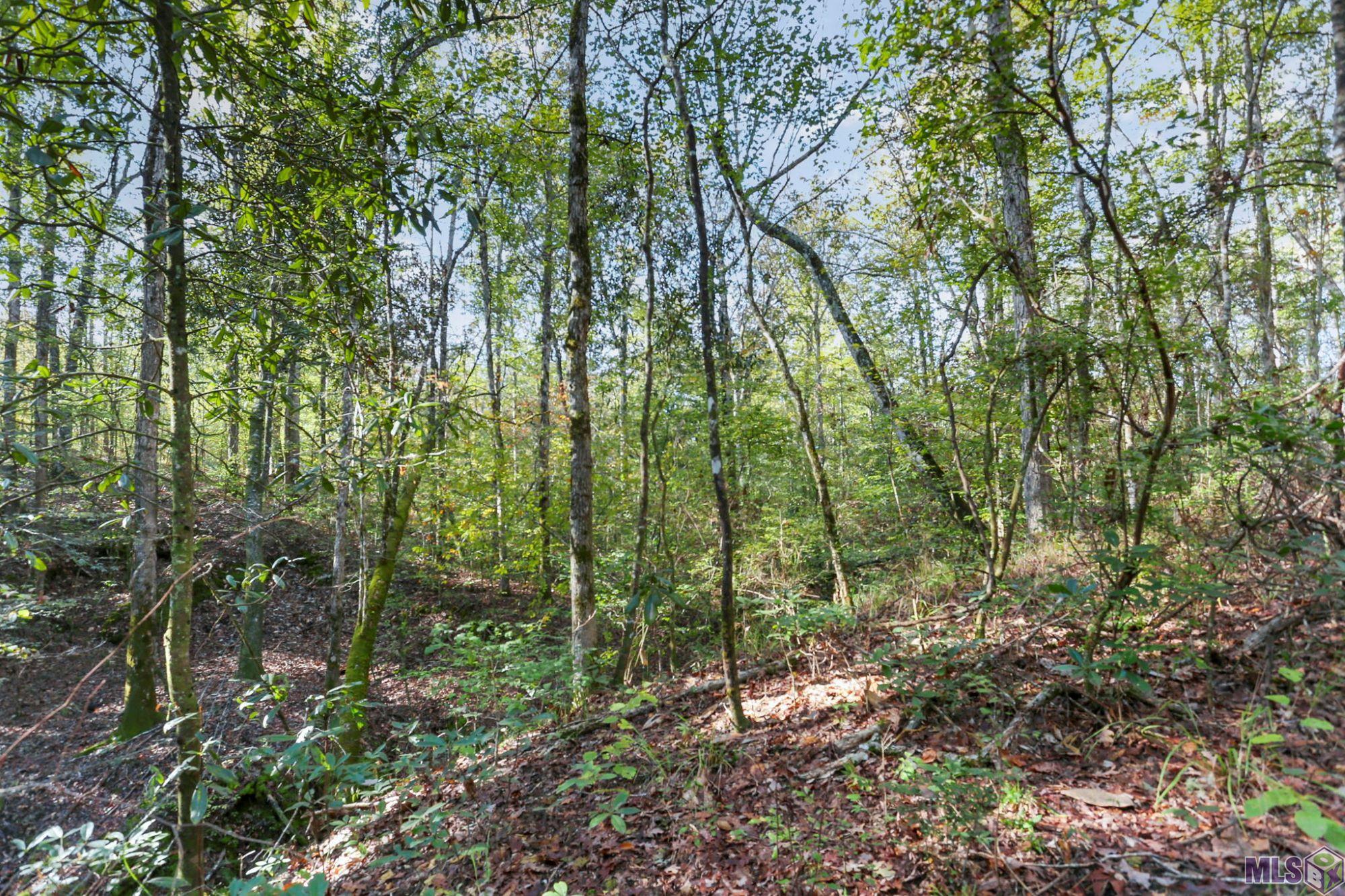 13289 Weaver Road St. Francisville, LA 70775 - Photo 7 of 13