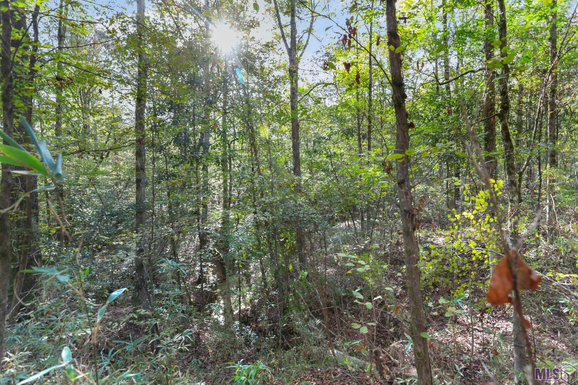 13289 Weaver Road St. Francisville, LA 70775 - Photo 9 of 13