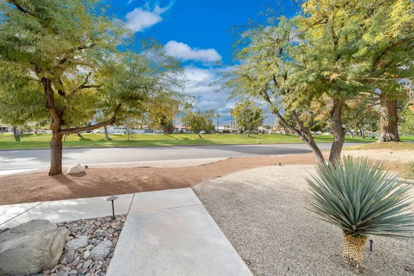 a view of a yard with plants and trees