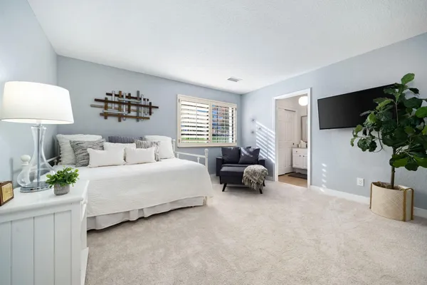 a bed room with furniture and a potted plant