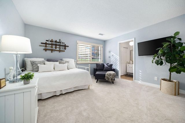 a bed room with furniture and a potted plant