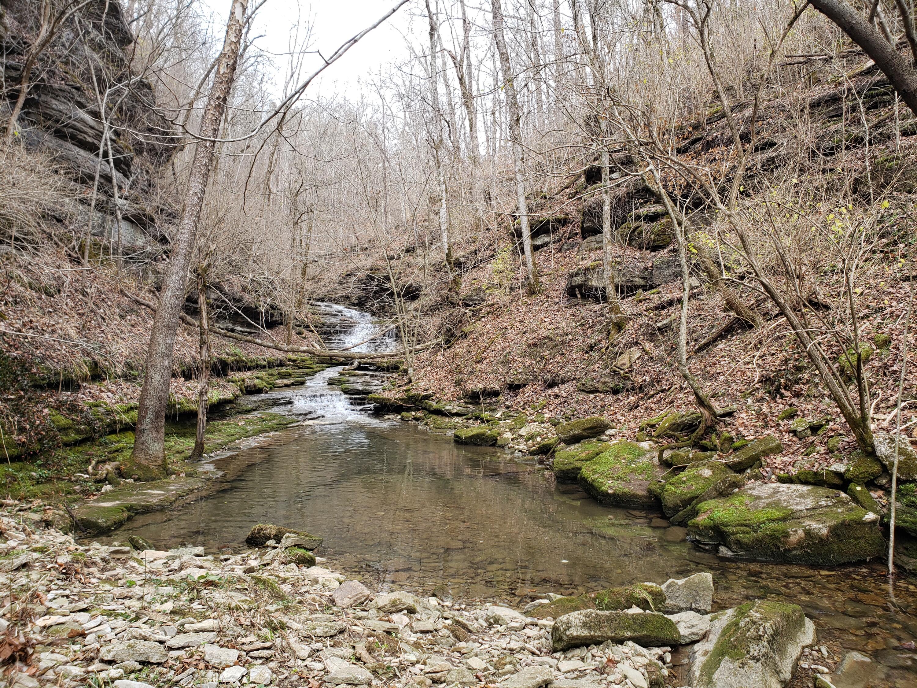 405 Lone Oak Road Wilmore, KY 40390 - Photo 75 of 81 LoneOak (2)