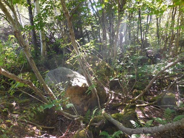 83 Bulldog Road West Forks, ME 04985 - Photo 10 of 11 20180817105405970956000000-o