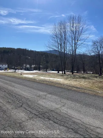 a view of road with large trees