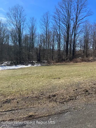 a view of a swimming pool with a yard