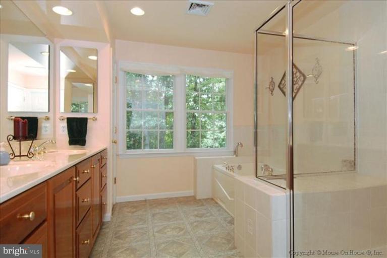 5310 Griffith Road Gaithersburg, MD 20882 - Photo 22 of 24 Master Bath