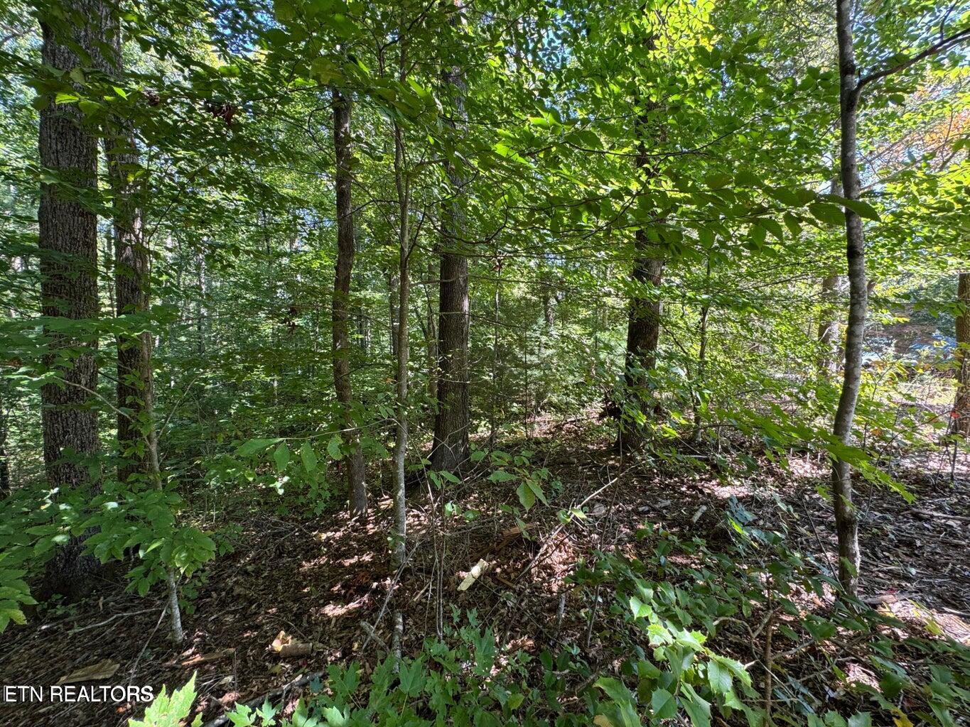 Lot 6 Saddle Brook Way Sevierville, TN 37862 - Photo 1 of 9 SB3