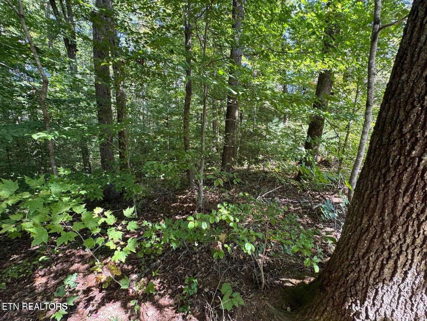 Lot 6 Saddle Brook Way Sevierville, TN 37862 - Photo 4 of 9 SB2