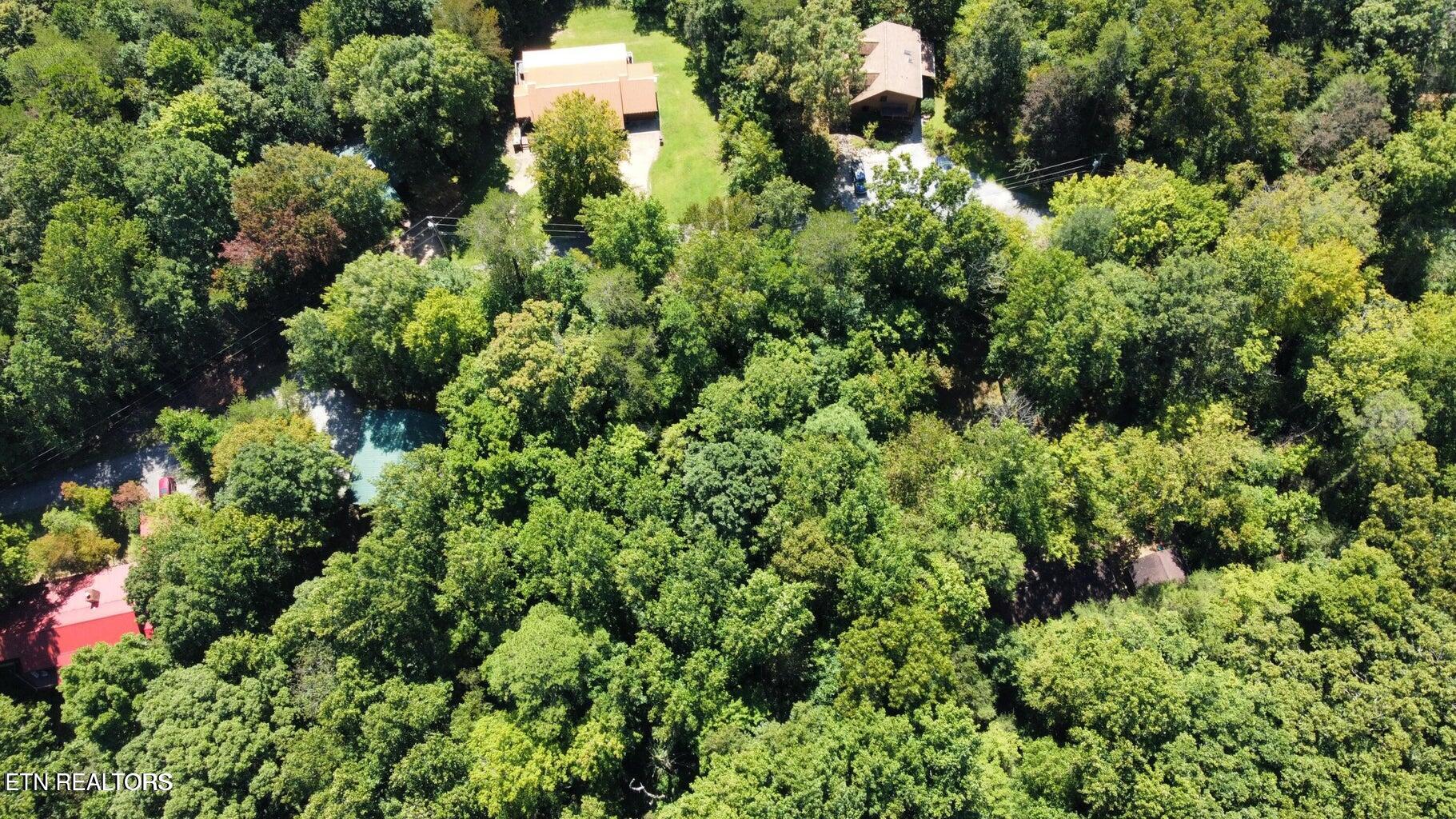 Lot 6 Saddle Brook Way Sevierville, TN 37862 - Photo 5 of 9 SB6