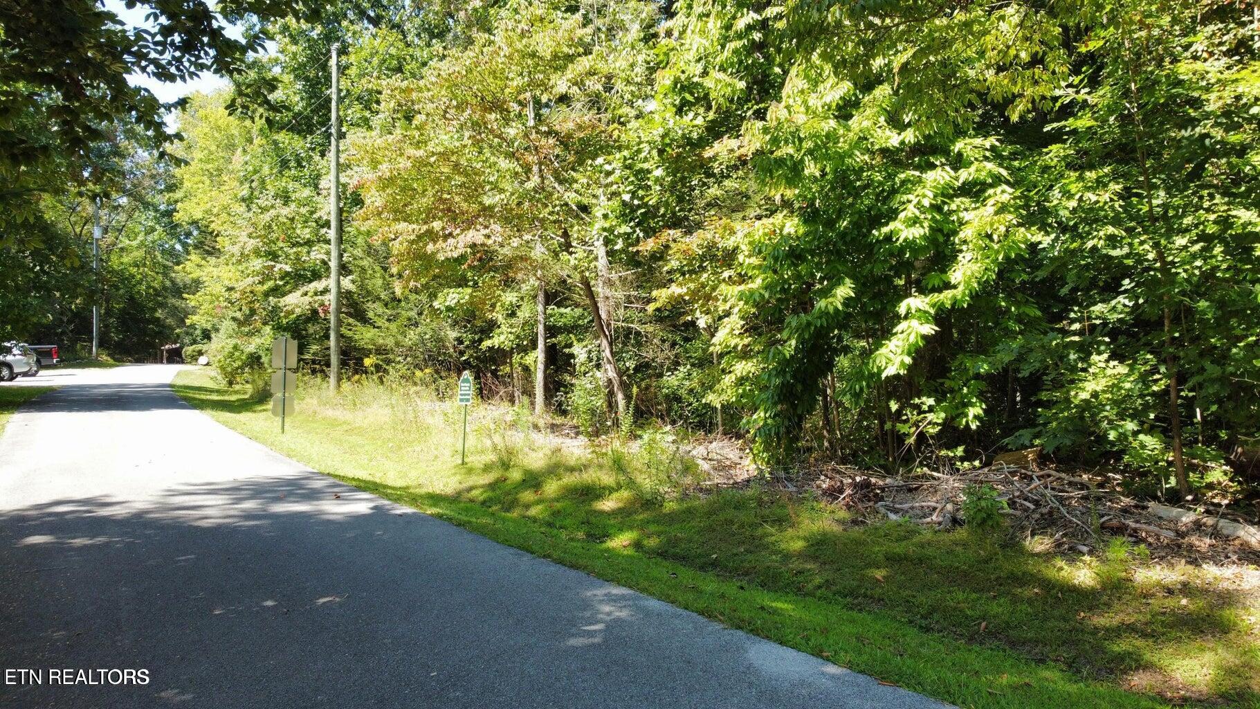 Lot 6 Saddle Brook Way Sevierville, TN 37862 - Photo 6 of 9 SB1