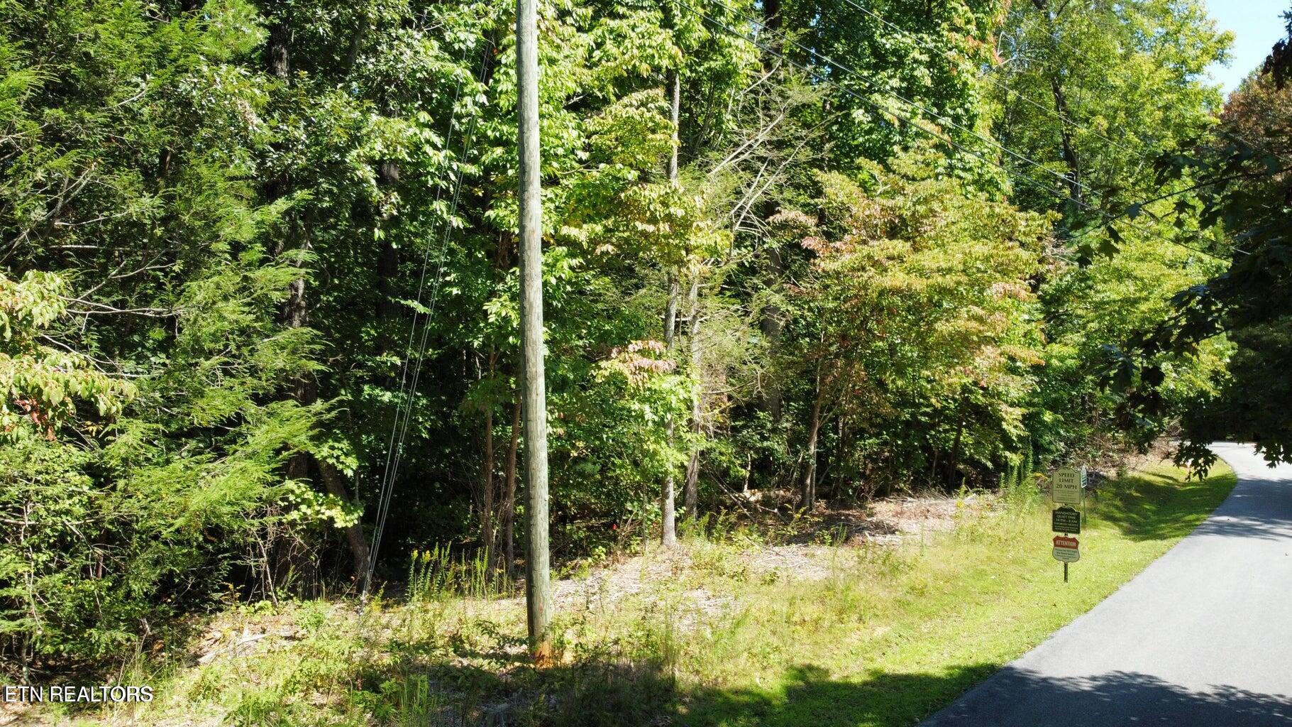 Lot 6 Saddle Brook Way Sevierville, TN 37862 - Photo 7 of 9 SB4