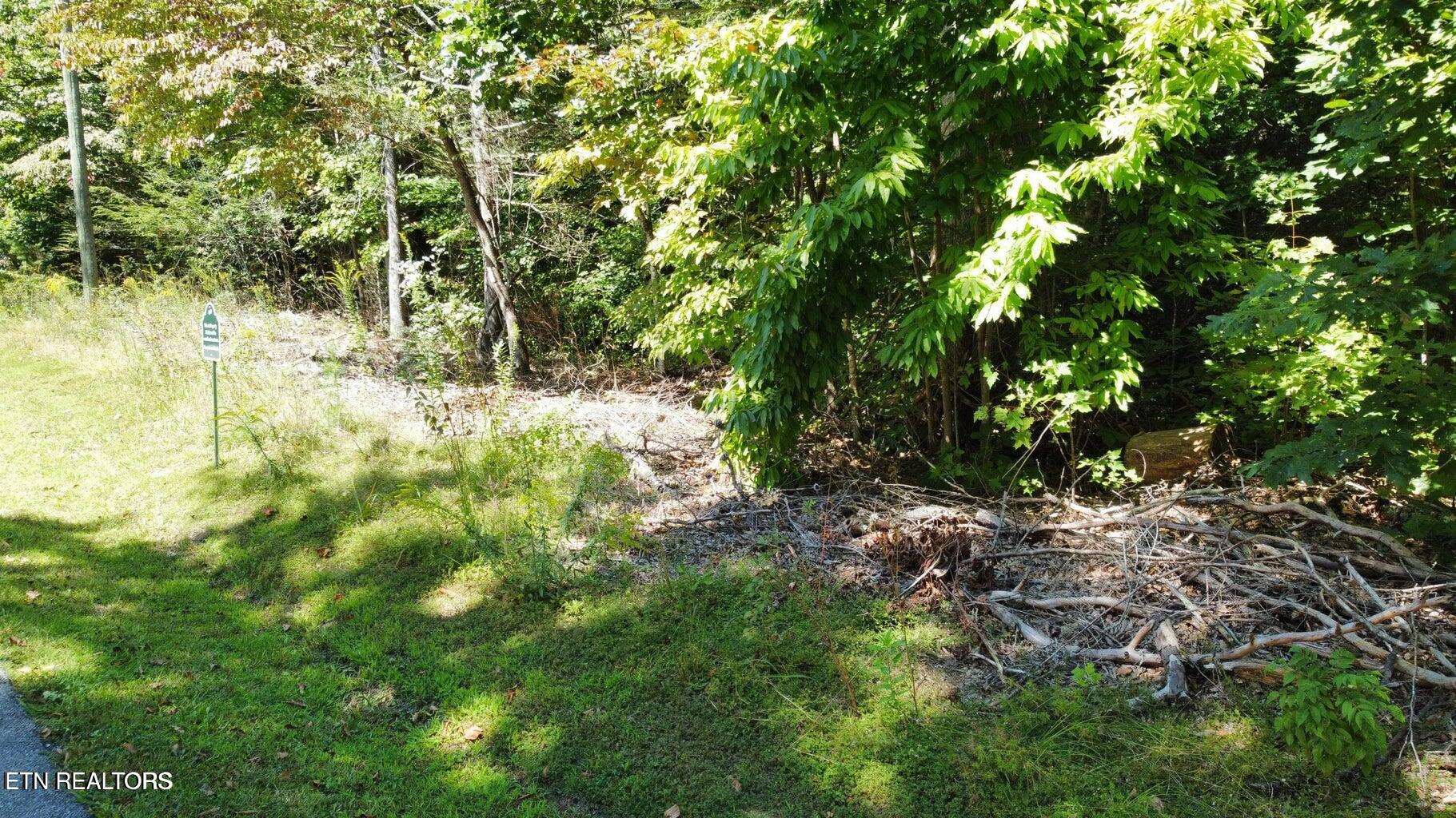 Lot 6 Saddle Brook Way Sevierville, TN 37862 - Photo 8 of 9 SB8
