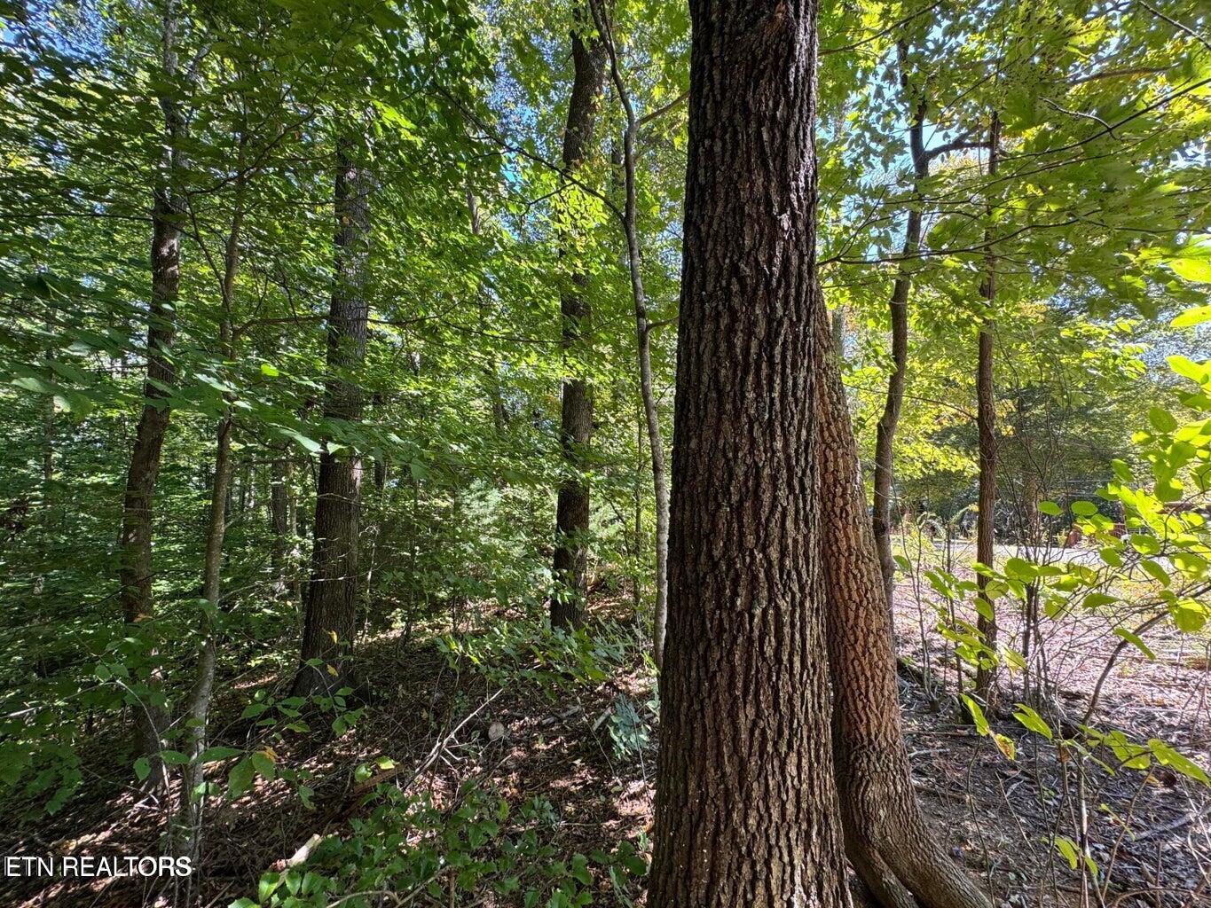 Lot 6 Saddle Brook Way Sevierville, TN 37862 - Photo 9 of 9 SB9