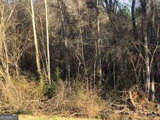 $9,900 | 0 Hwy 135, Uvalda, GA 30473