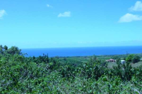 1615 Puu Road Kalaheo, HI 96741 - Photo 3 of 4