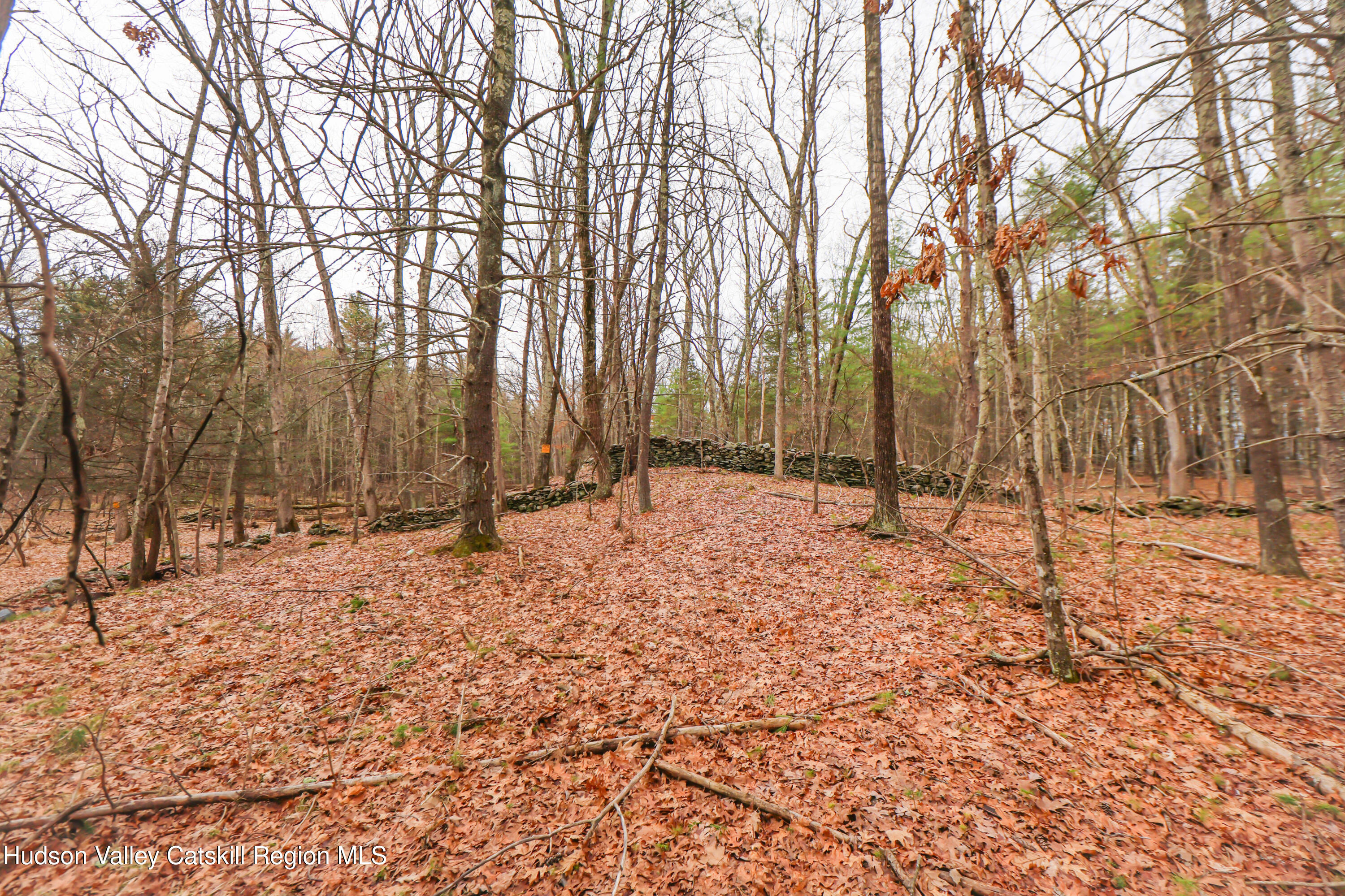 449 Spillway Road West Hurley, NY 12491 - Photo 25 of 42 a backyard of a house with trees
