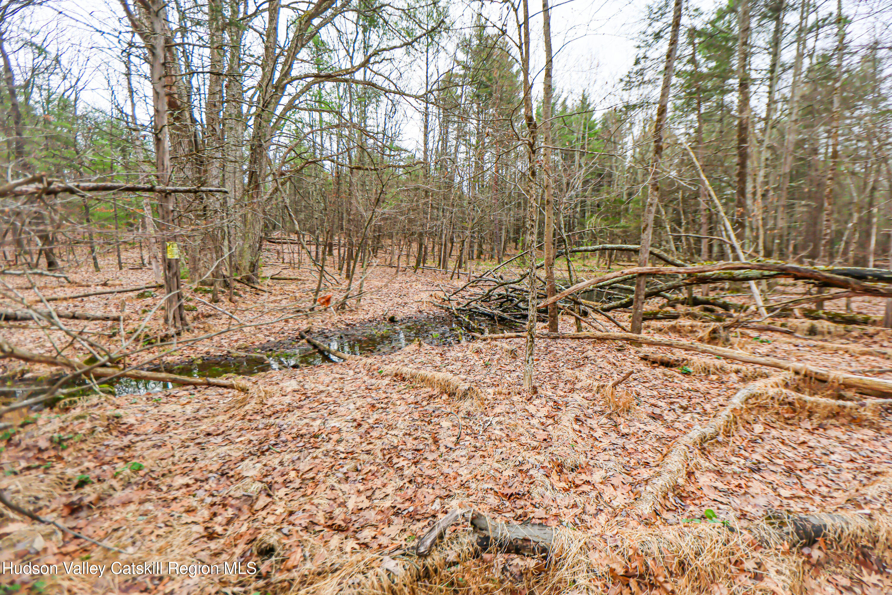 449 Spillway Road West Hurley, NY 12491 - Photo 29 of 42 a view of a yard with wooden fence