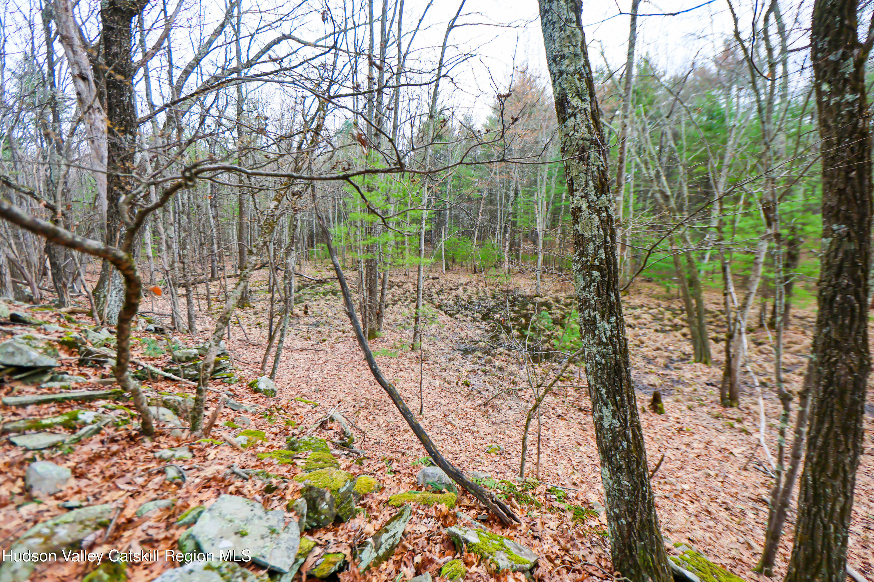 449 Spillway Road West Hurley, NY 12491 - Photo 30 of 42 a view of a yard with plants and large trees