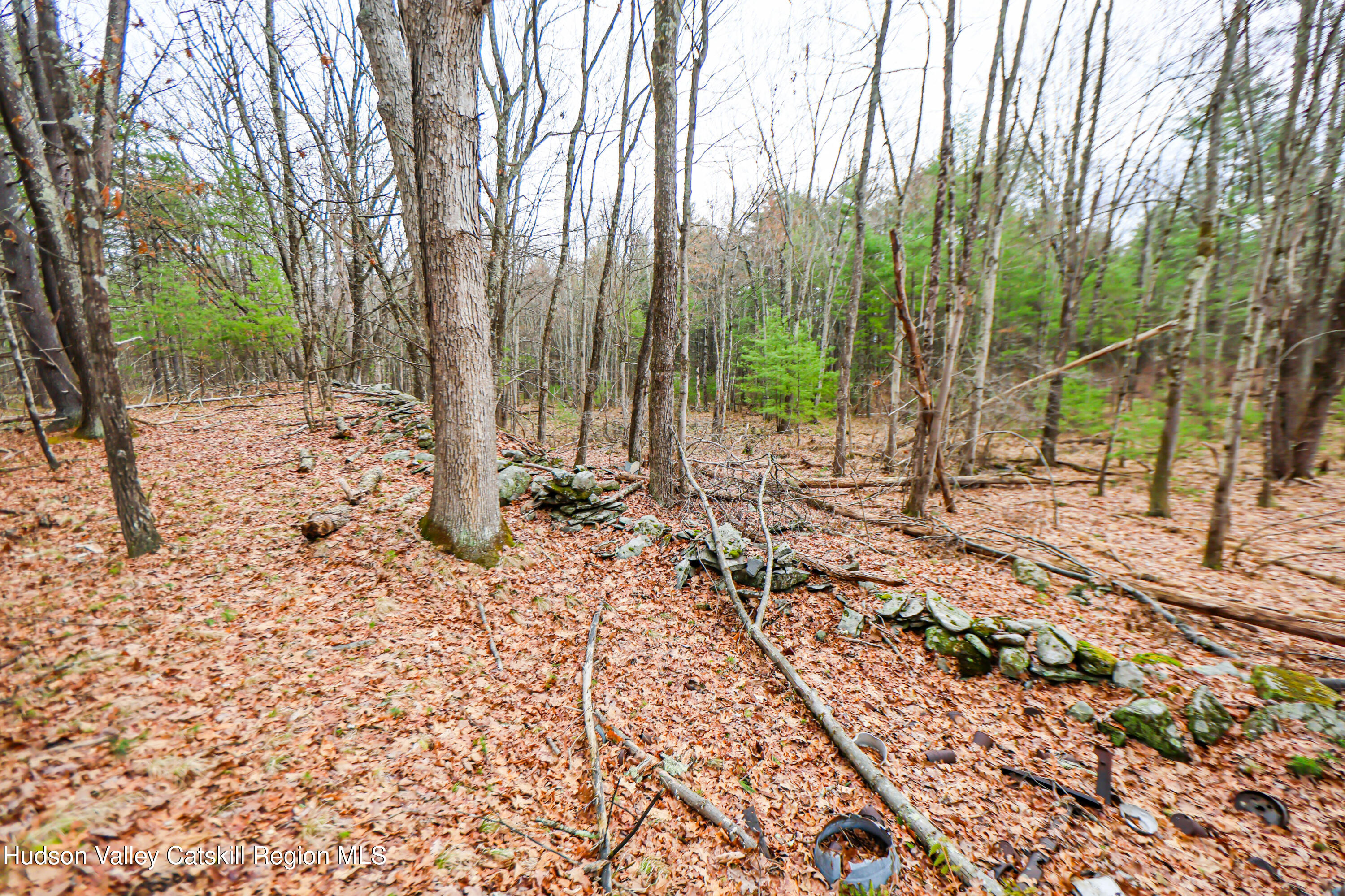 449 Spillway Road West Hurley, NY 12491 - Photo 31 of 42 a view of a backyard with large trees and plants