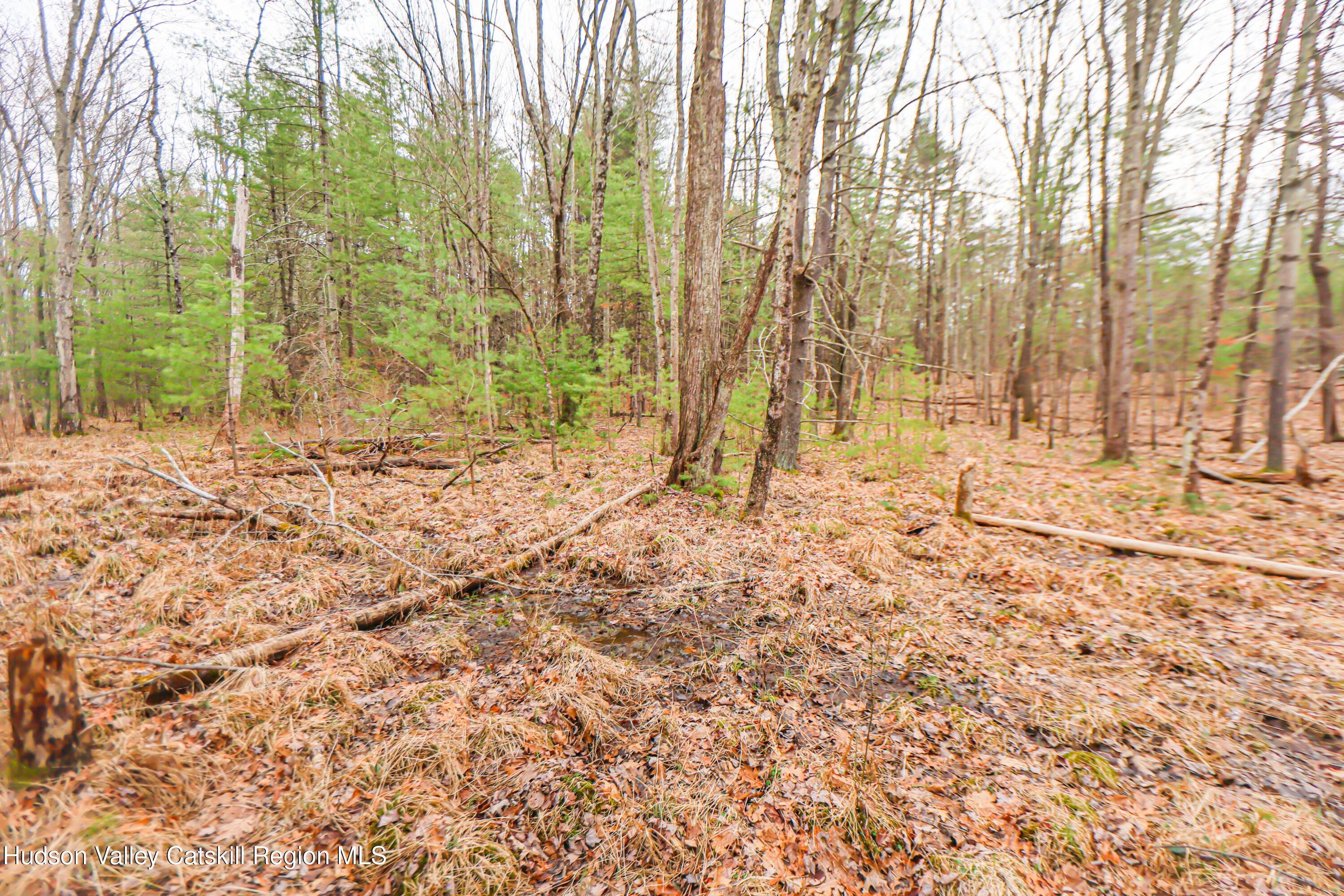 449 Spillway Road West Hurley, NY 12491 - Photo 36 of 42 a view of under construction area