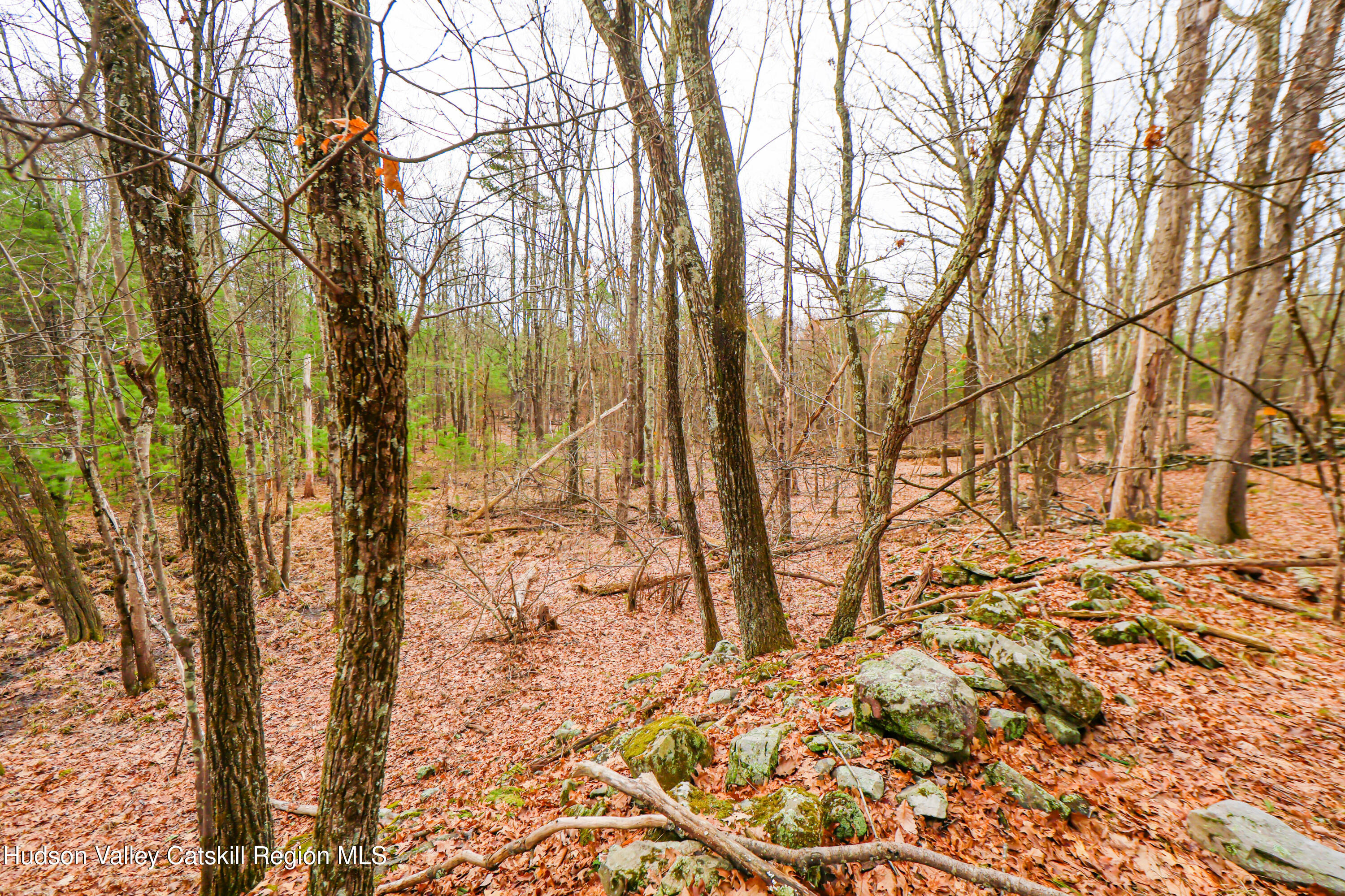 449 Spillway Road West Hurley, NY 12491 - Photo 38 of 42 a backyard of a house with lots of green space