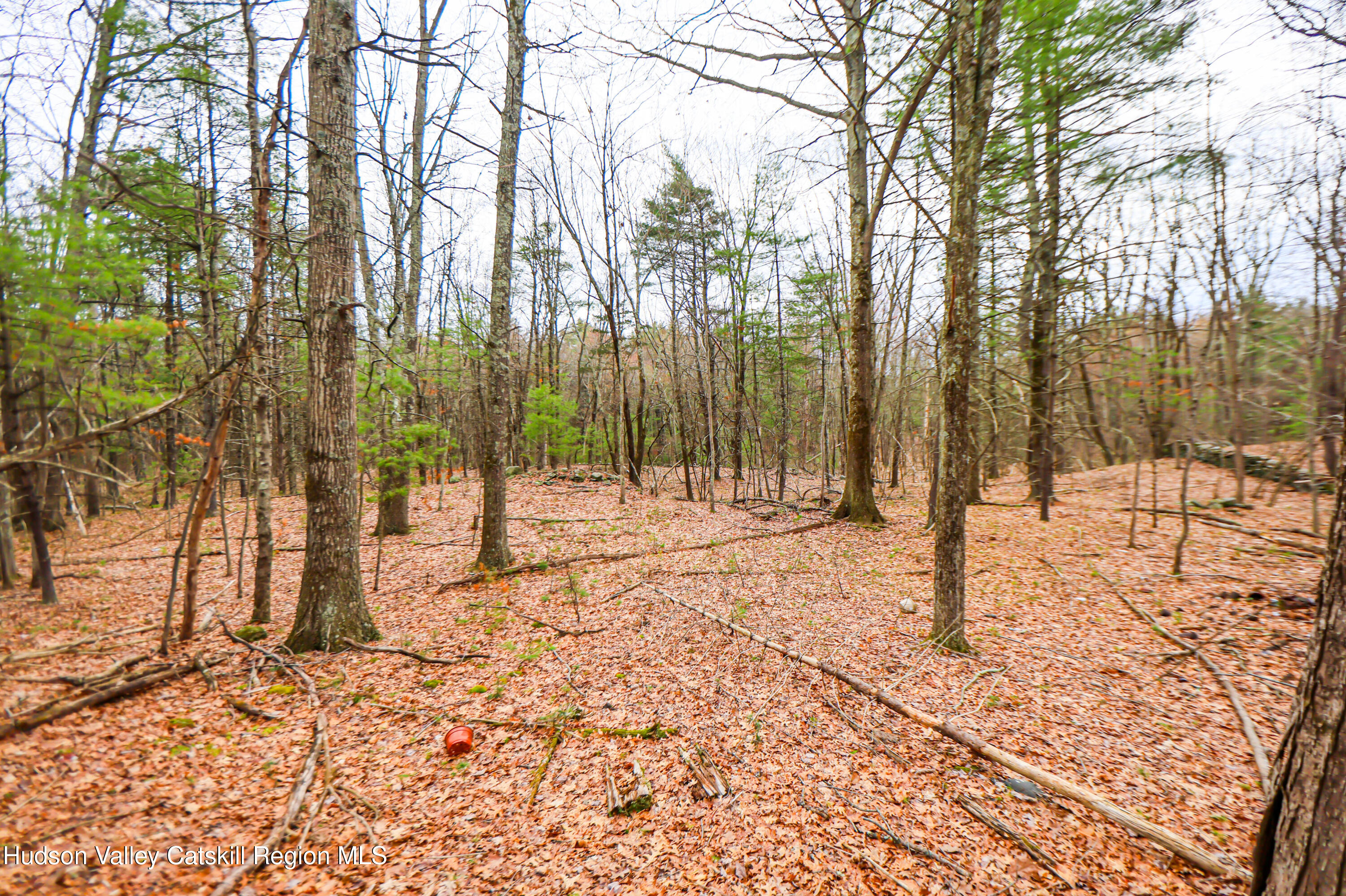 449 Spillway Road West Hurley, NY 12491 - Photo 39 of 42 a view of a road with trees