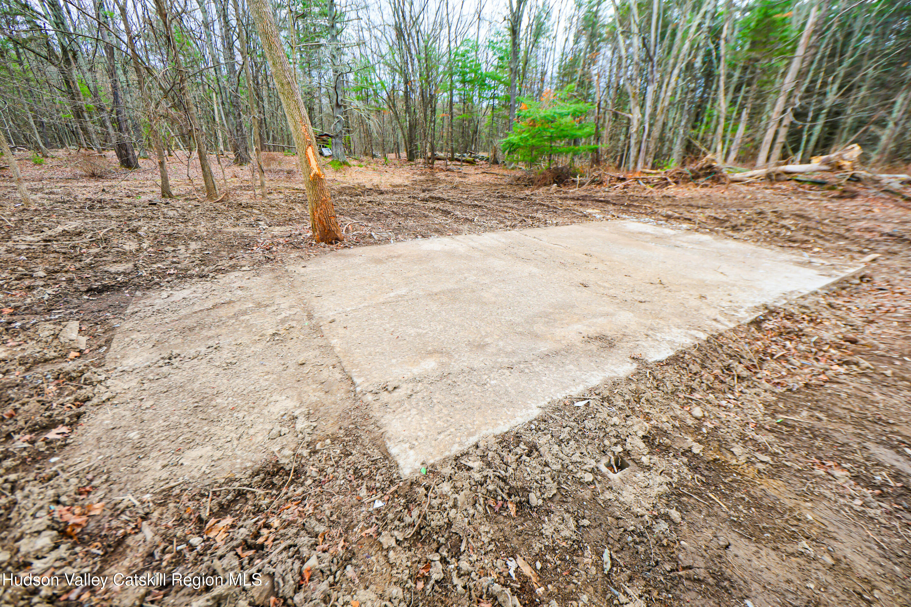 449 Spillway Road West Hurley, NY 12491 - Photo 7 of 42 a view of a yard with a tree