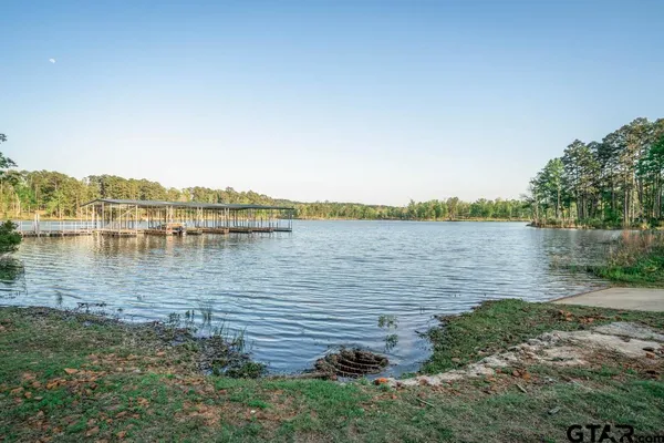 a view of a lake in middle of forest