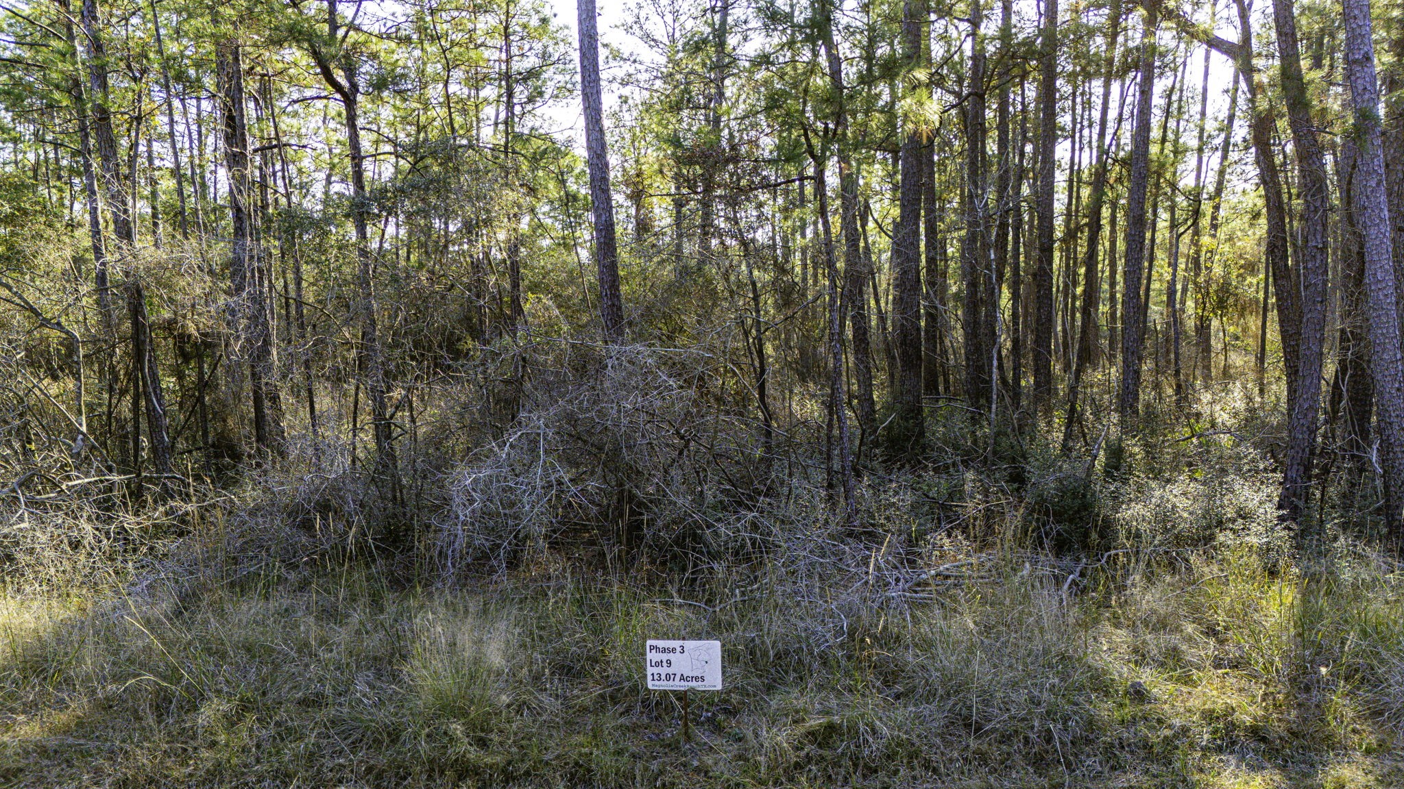 39 Sportsman Retreat Road Onalaska, TX 77360 - Photo 4 of 11