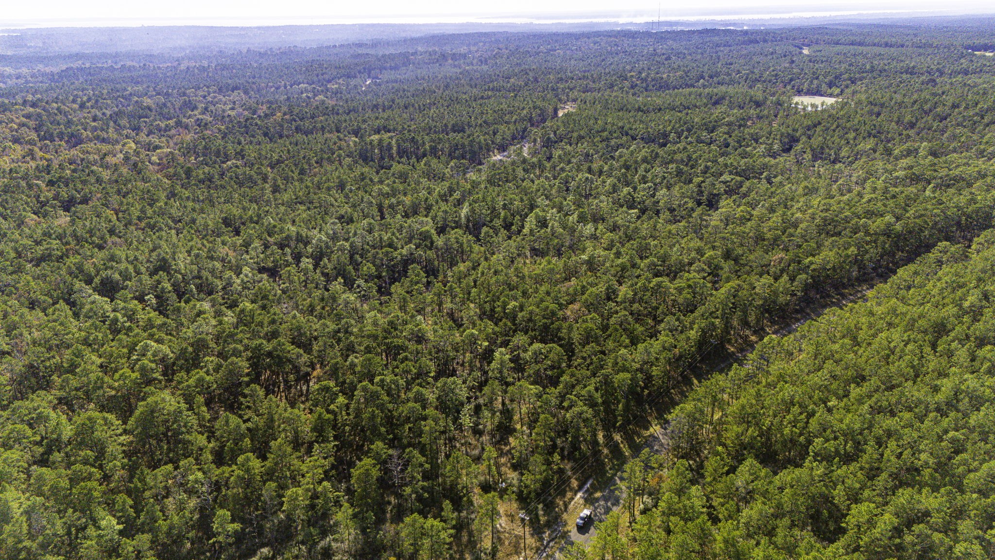 39 Sportsman Retreat Road Onalaska, TX 77360 - Photo 7 of 11