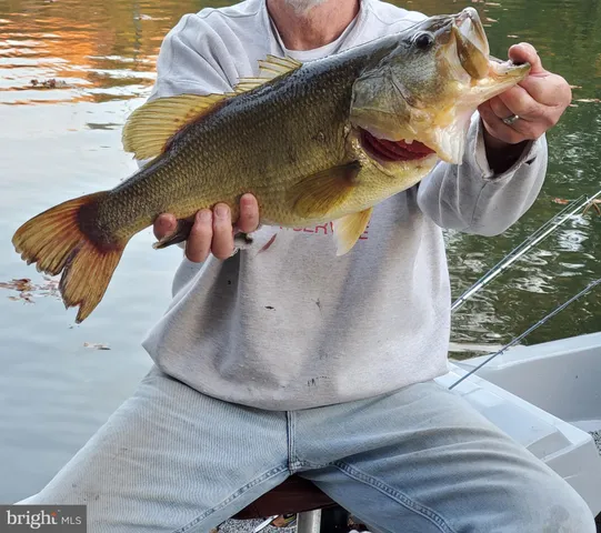 a front view of a house with a garage