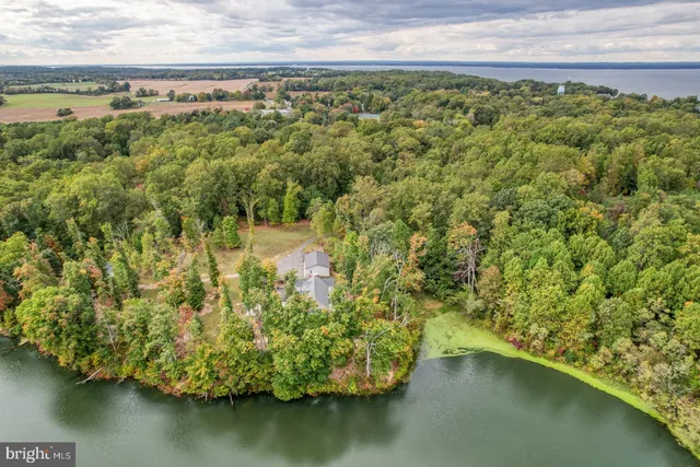 a view of a house with a yard and large trees