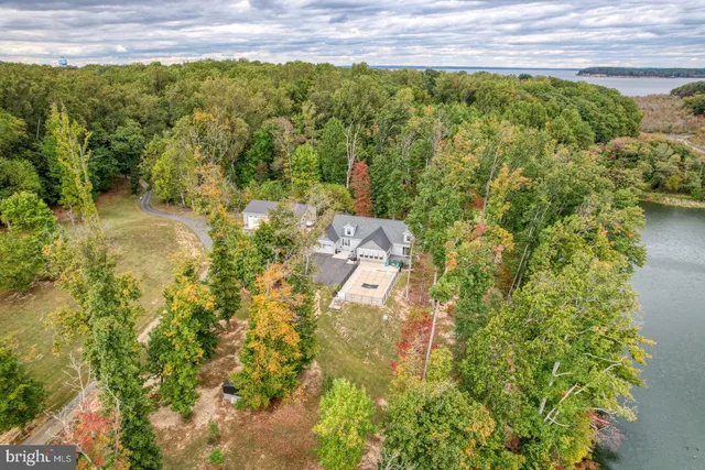 a view of a backyard with plants and large trees