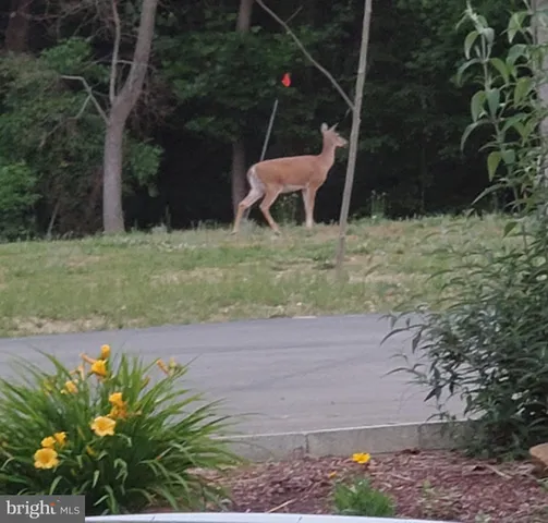 $849,900 | 21 6th Avenue, Still Pond, MD 21667