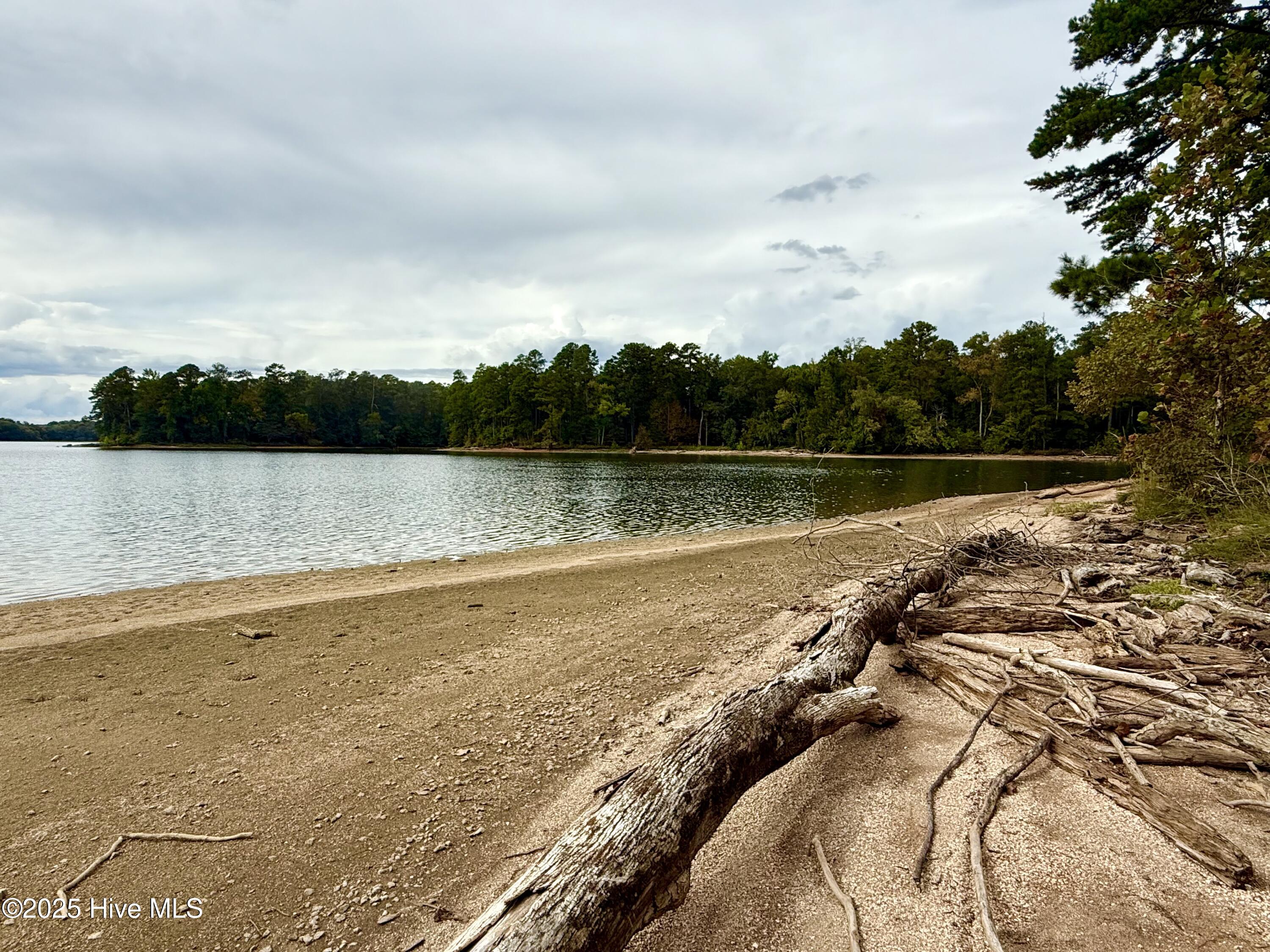 345 North State Lane Rockingham, NC 28379 - Photo 10 of 12 Beach