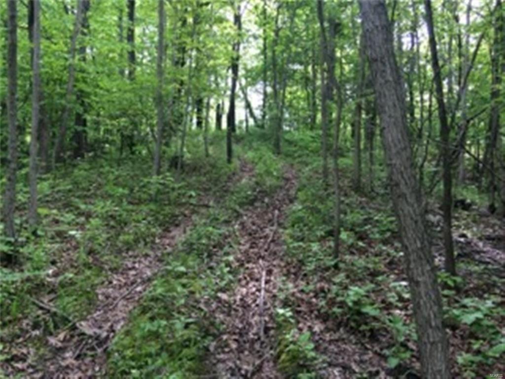 0 Meadow Branch Road Grafton, IL 62037 - Photo 19 of 28