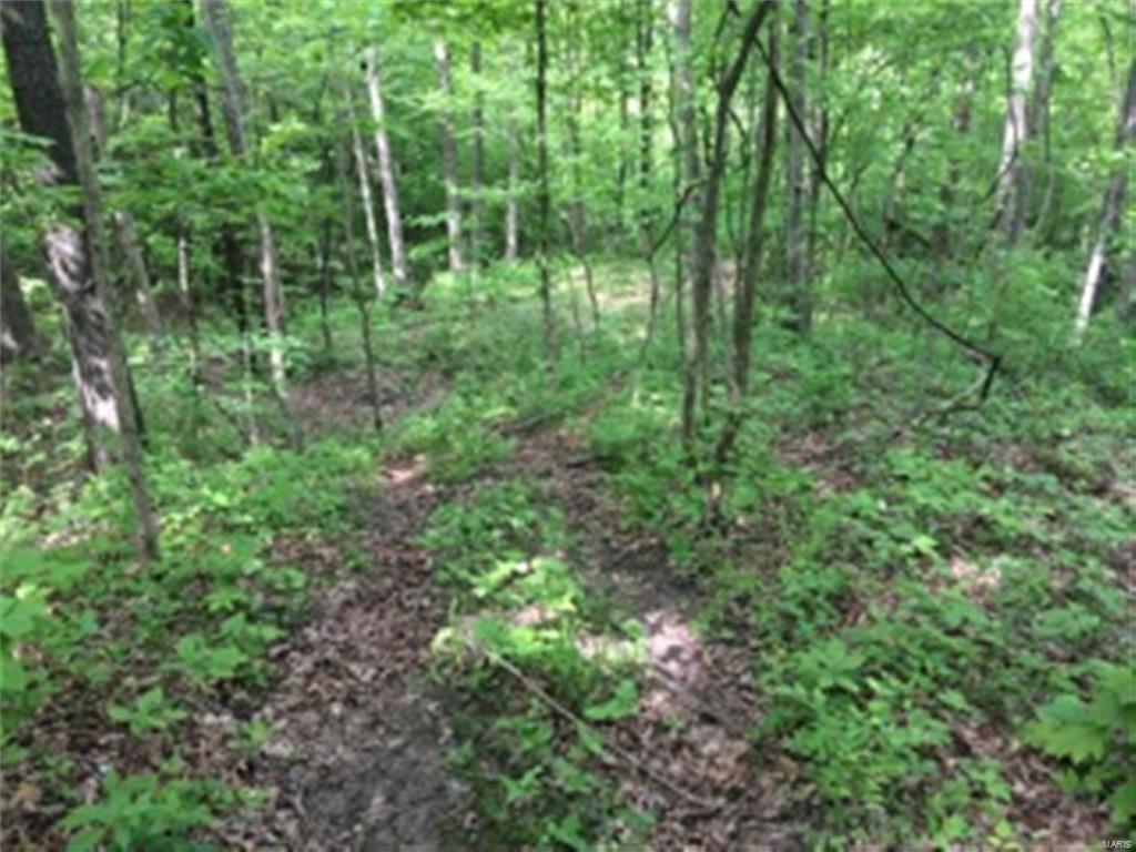 0 Meadow Branch Road Grafton, IL 62037 - Photo 20 of 28