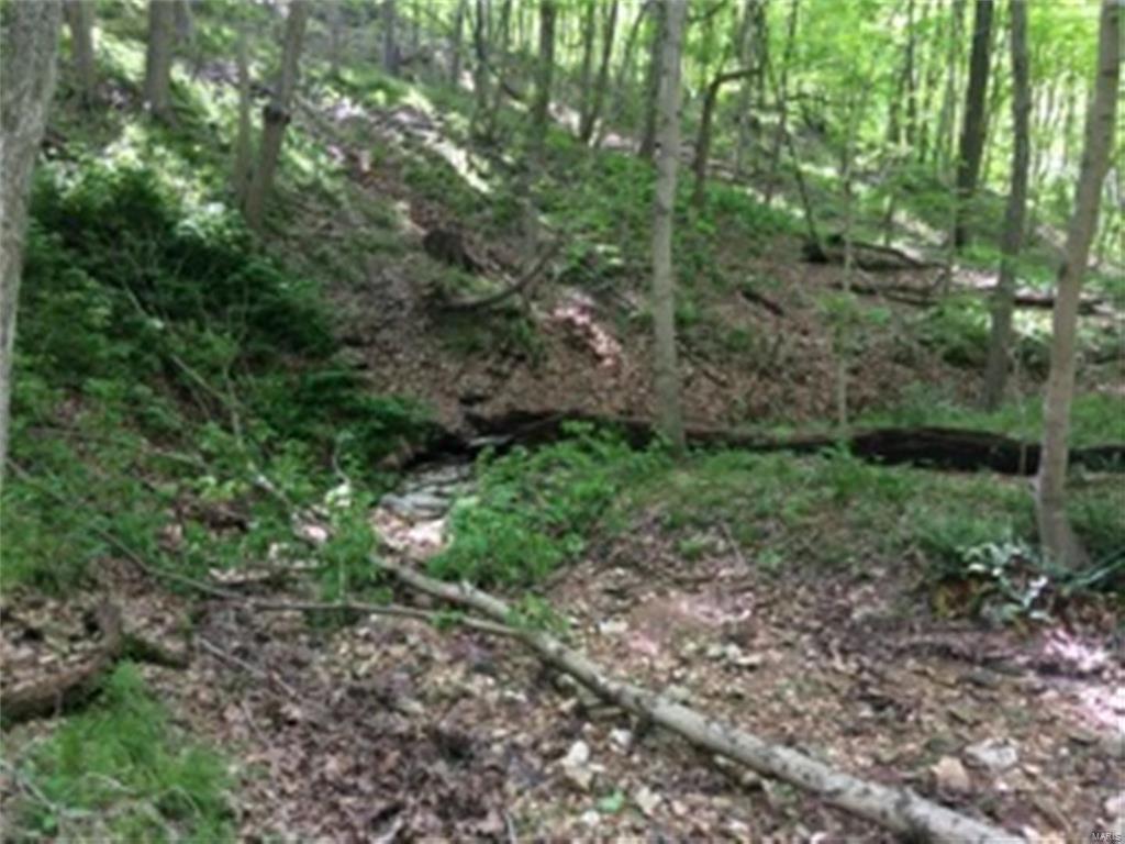 0 Meadow Branch Road Grafton, IL 62037 - Photo 21 of 28