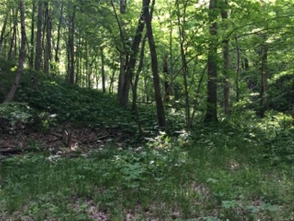 0 Meadow Branch Road Grafton, IL 62037 - Photo 22 of 28