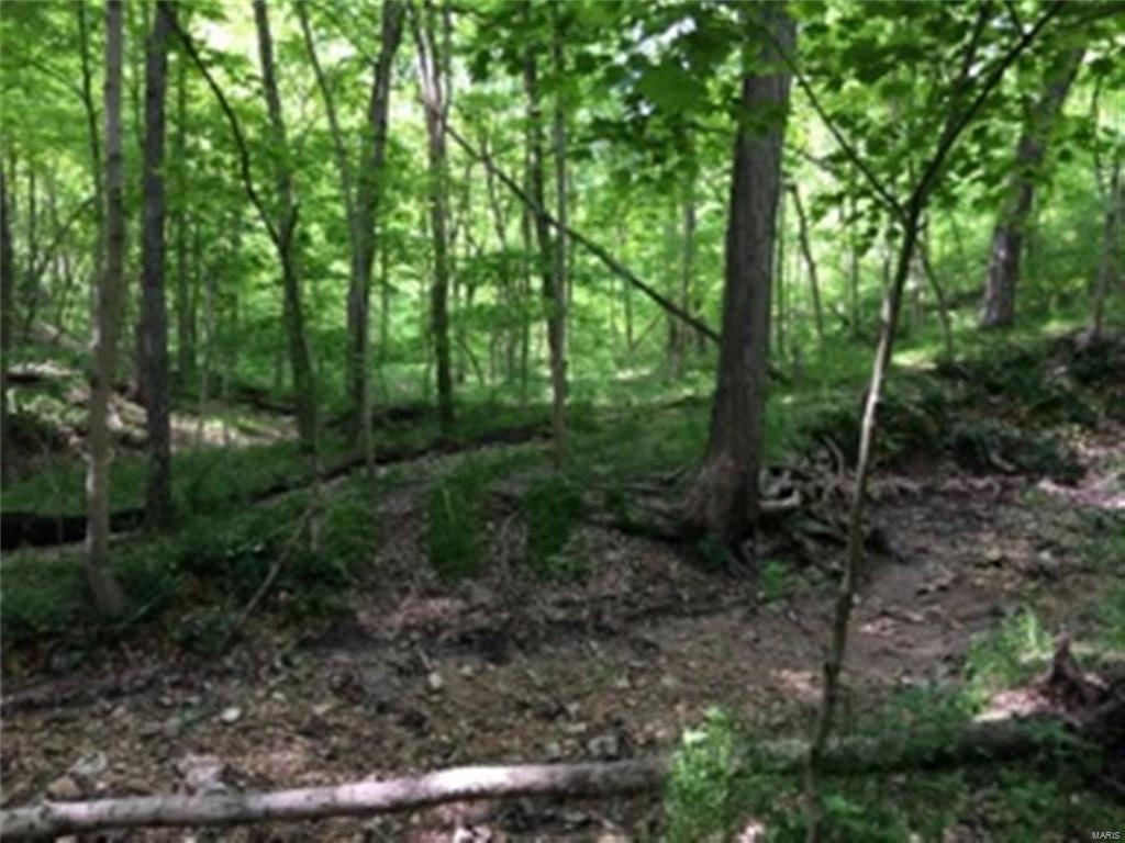 0 Meadow Branch Road Grafton, IL 62037 - Photo 23 of 28