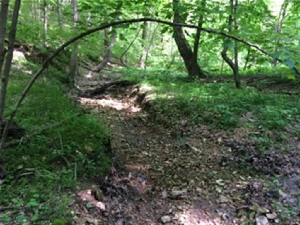 0 Meadow Branch Road Grafton, IL 62037 - Photo 24 of 28